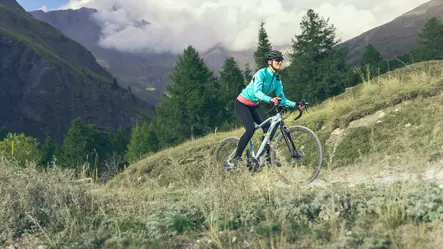 Yamaha WABASH RT L - Yamaha sähköpyörät - 122809 - 1