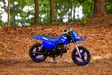 Yamaha PW50 2025 DPBSE Moottoripyörä - Yamaha Crossipyörät - 699 - 1